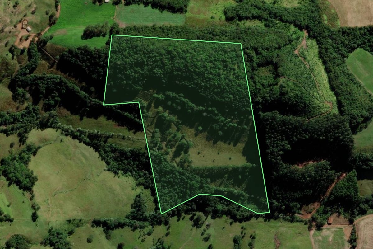 Imagem de satélite do imóvel rural em Saltinho (SC), com o contorno declarado no CAR desenhado por cima.