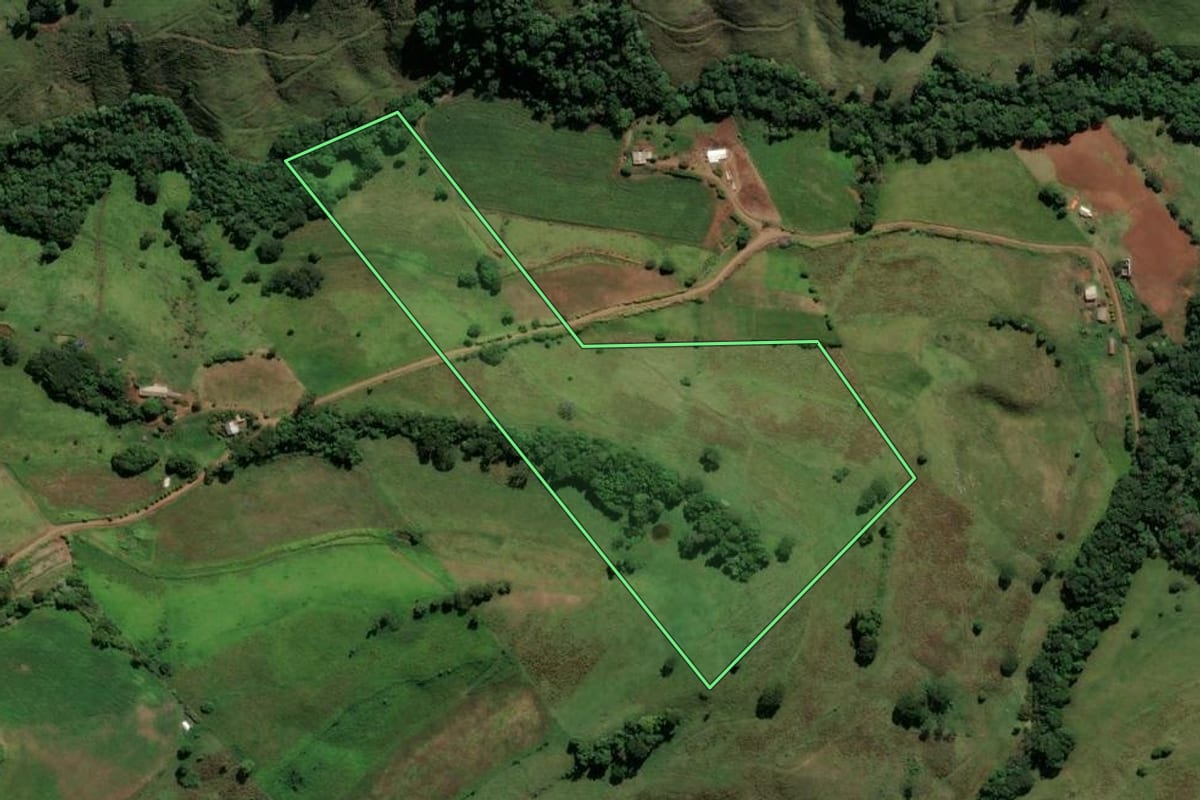 Imagem de satélite do imóvel rural em Saltinho (SC), com o contorno declarado no CAR desenhado por cima.