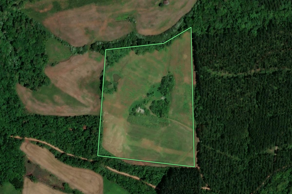 Imagem de satélite do imóvel rural em Saltinho (SC), com o contorno declarado no CAR desenhado por cima.