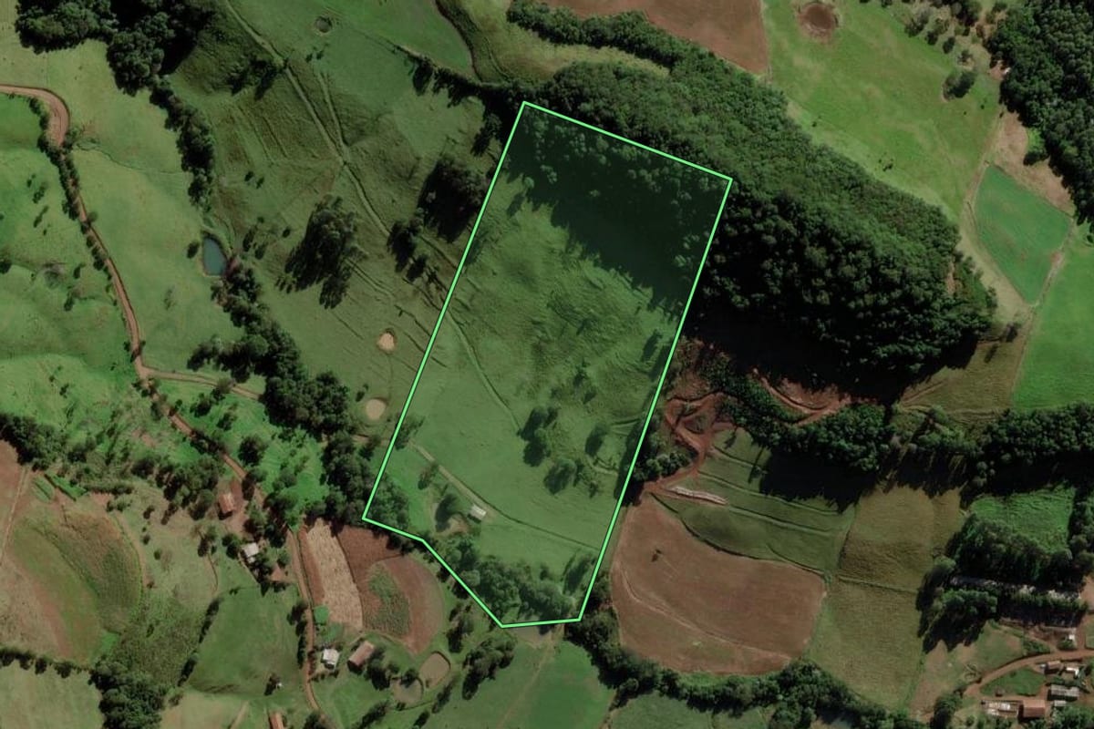 Imagem de satélite do imóvel rural em Saltinho (SC), com o contorno declarado no CAR desenhado por cima.