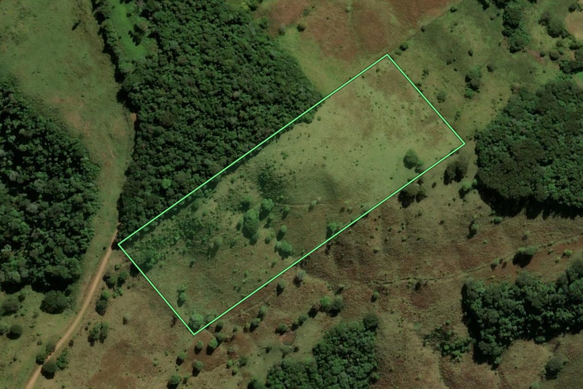 Imagem de satélite do imóvel rural em Saltinho (SC), com o contorno declarado no CAR desenhado por cima.