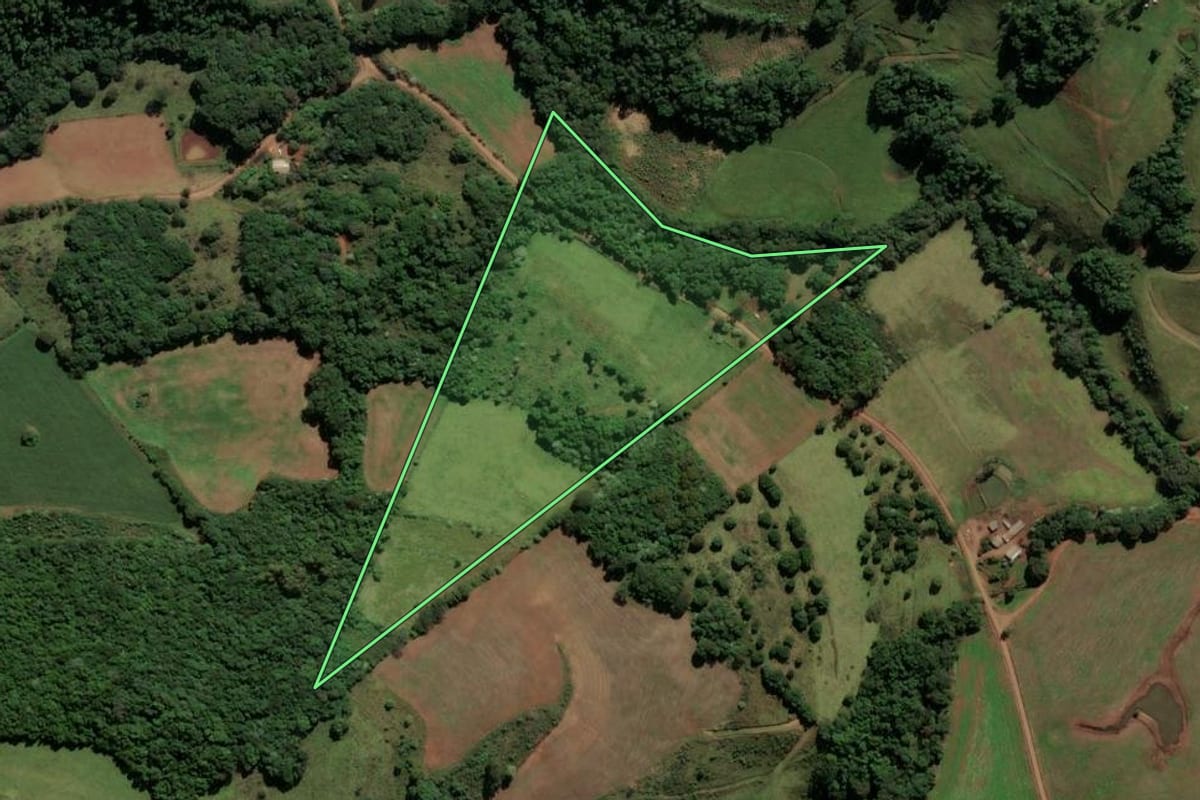Imagem de satélite do imóvel rural em Saltinho (SC), com o contorno declarado no CAR desenhado por cima.
