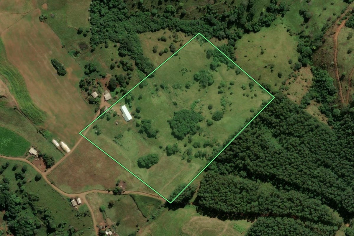 Imagem de satélite do imóvel rural em Saltinho (SC), com o contorno declarado no CAR desenhado por cima.