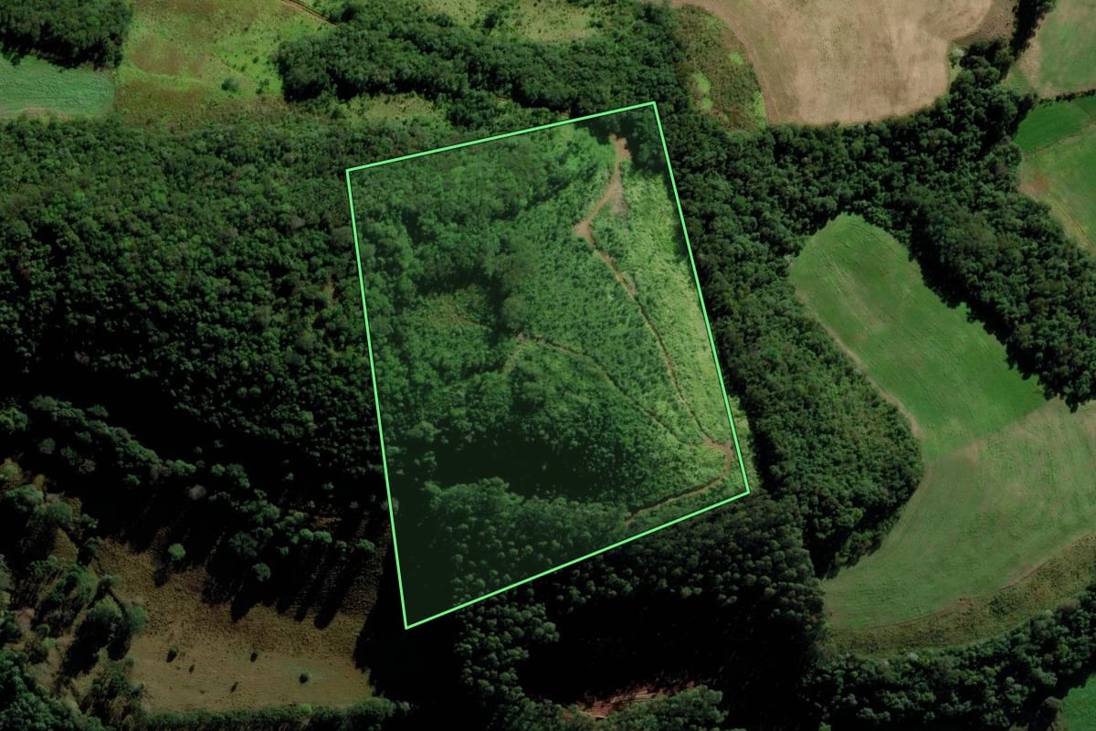 Imagem de satélite do imóvel rural em Saltinho (SC), com o contorno declarado no CAR desenhado por cima.