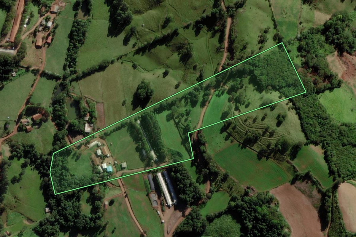 Imagem de satélite do imóvel rural em Saltinho (SC), com o contorno declarado no CAR desenhado por cima.