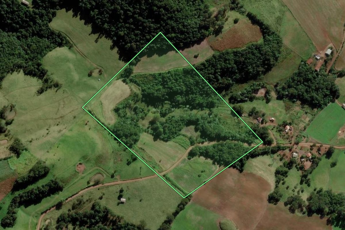Imagem de satélite do imóvel rural em Saltinho (SC), com o contorno declarado no CAR desenhado por cima.