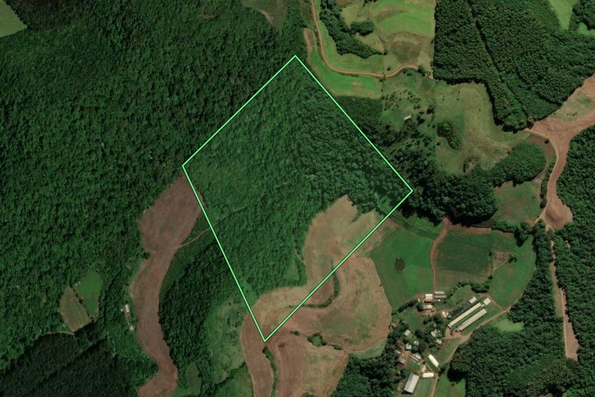 Imagem de satélite do imóvel rural em Saltinho (SC), com o contorno declarado no CAR desenhado por cima.