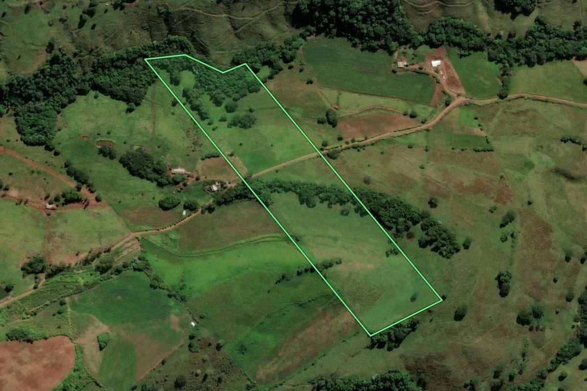 Imagem de satélite do imóvel rural em Saltinho (SC), com o contorno declarado no CAR desenhado por cima.