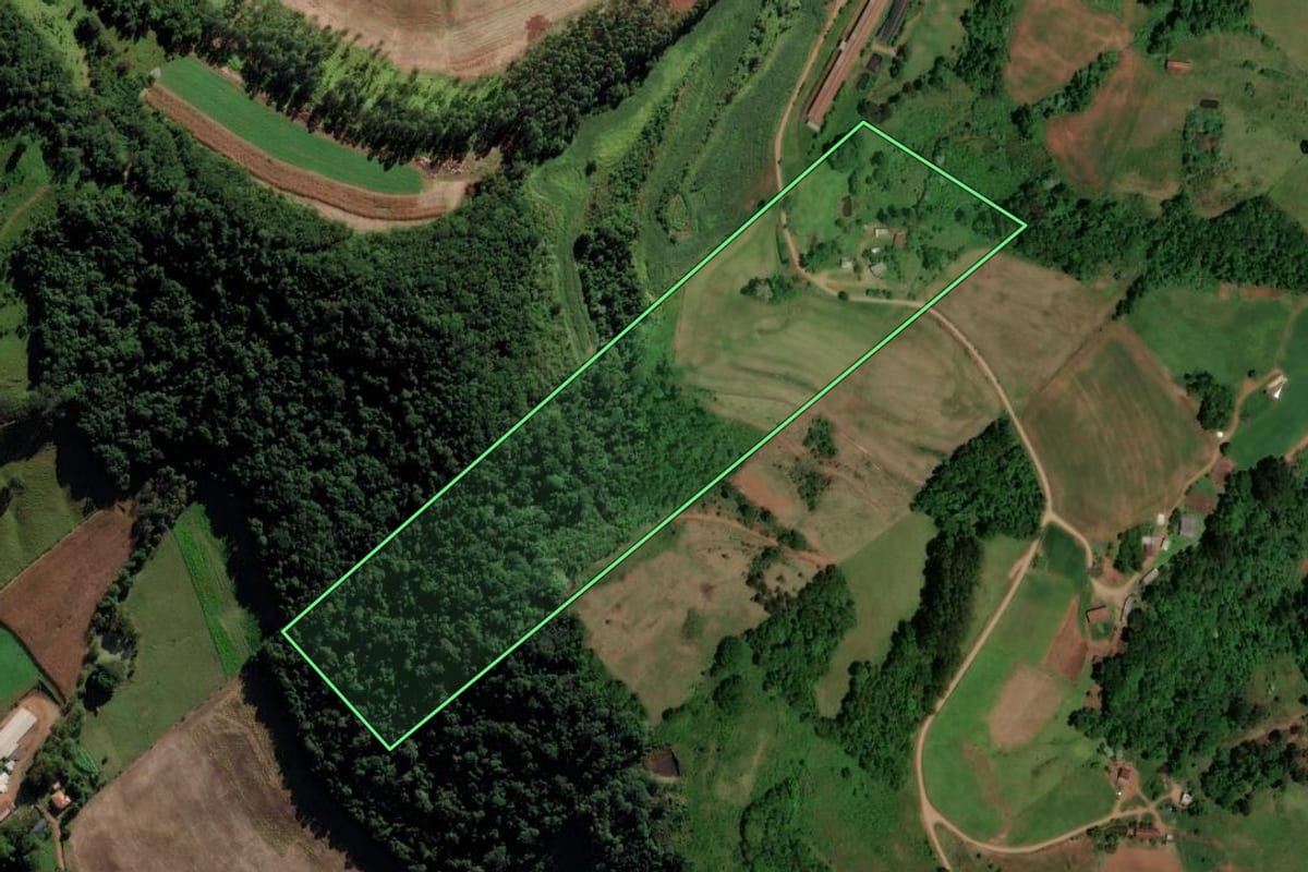 Imagem de satélite do imóvel rural em Saltinho (SC), com o contorno declarado no CAR desenhado por cima.
