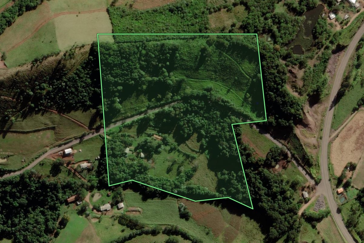 Imagem de satélite do imóvel rural em Saltinho (SC), com o contorno declarado no CAR desenhado por cima.