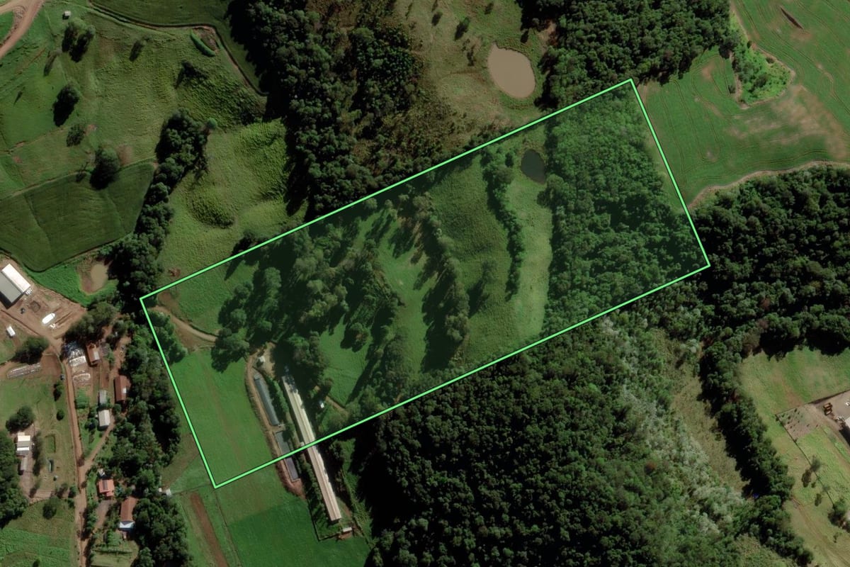 Imagem de satélite do imóvel rural em Saltinho (SC), com o contorno declarado no CAR desenhado por cima.