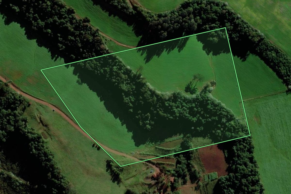 Imagem de satélite do imóvel rural em Saltinho (SC), com o contorno declarado no CAR desenhado por cima.