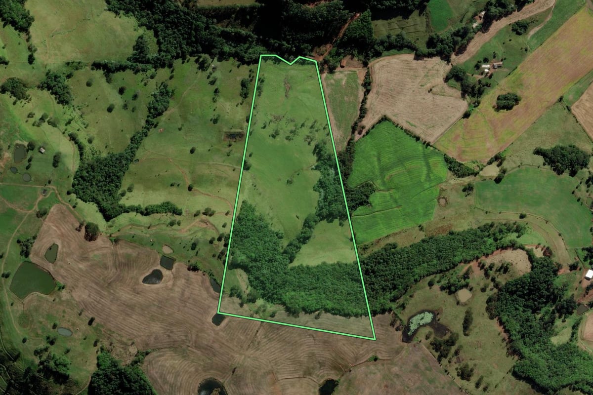 Imagem de satélite do imóvel rural em Saltinho (SC), com o contorno declarado no CAR desenhado por cima.