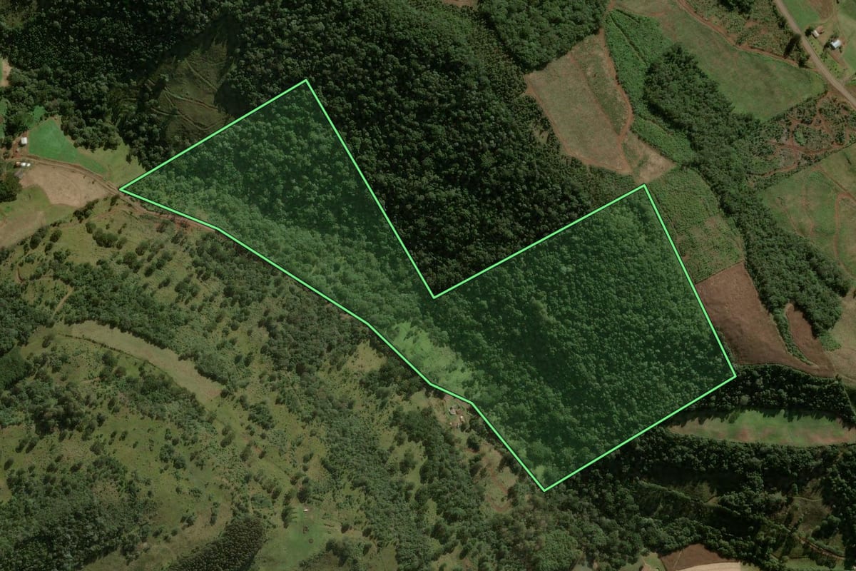 Imagem de satélite do imóvel rural em Salto Veloso (SC), com o contorno declarado no CAR desenhado por cima.