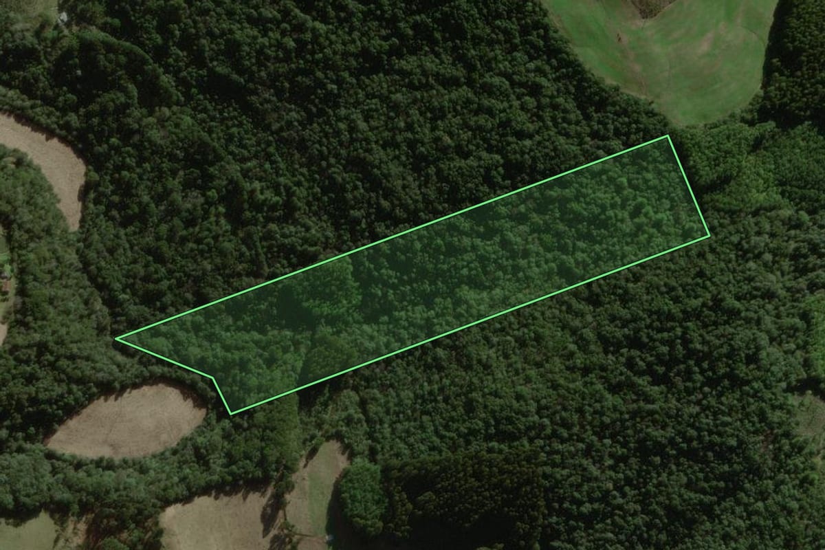 Imagem de satélite do imóvel rural em Salto Veloso (SC), com o contorno declarado no CAR desenhado por cima.