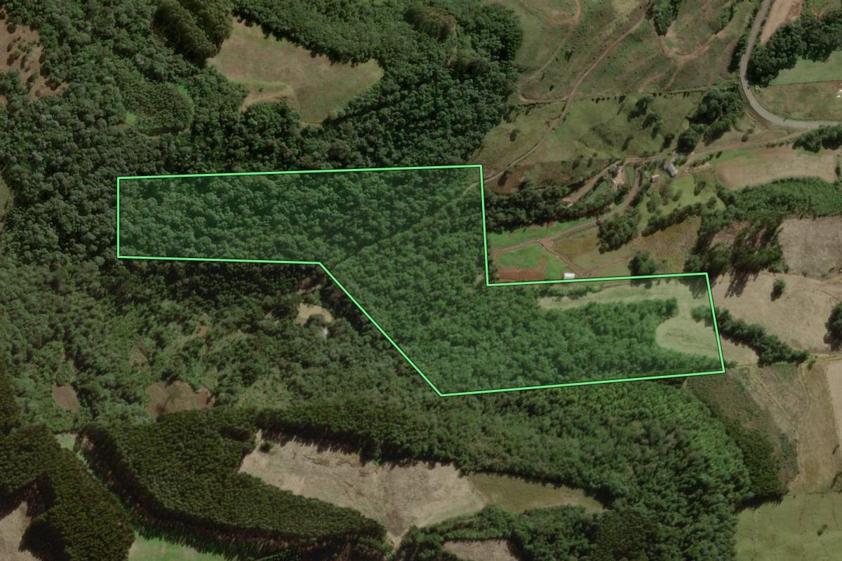 Imagem de satélite do imóvel rural em Salto Veloso (SC), com o contorno declarado no CAR desenhado por cima.