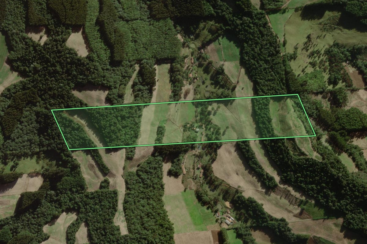 Imagem de satélite do imóvel rural em Salto Veloso (SC), com o contorno declarado no CAR desenhado por cima.