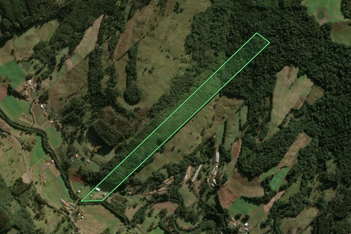 Imagem de satélite do imóvel rural em Salto Veloso (SC), com o contorno declarado no CAR desenhado por cima.