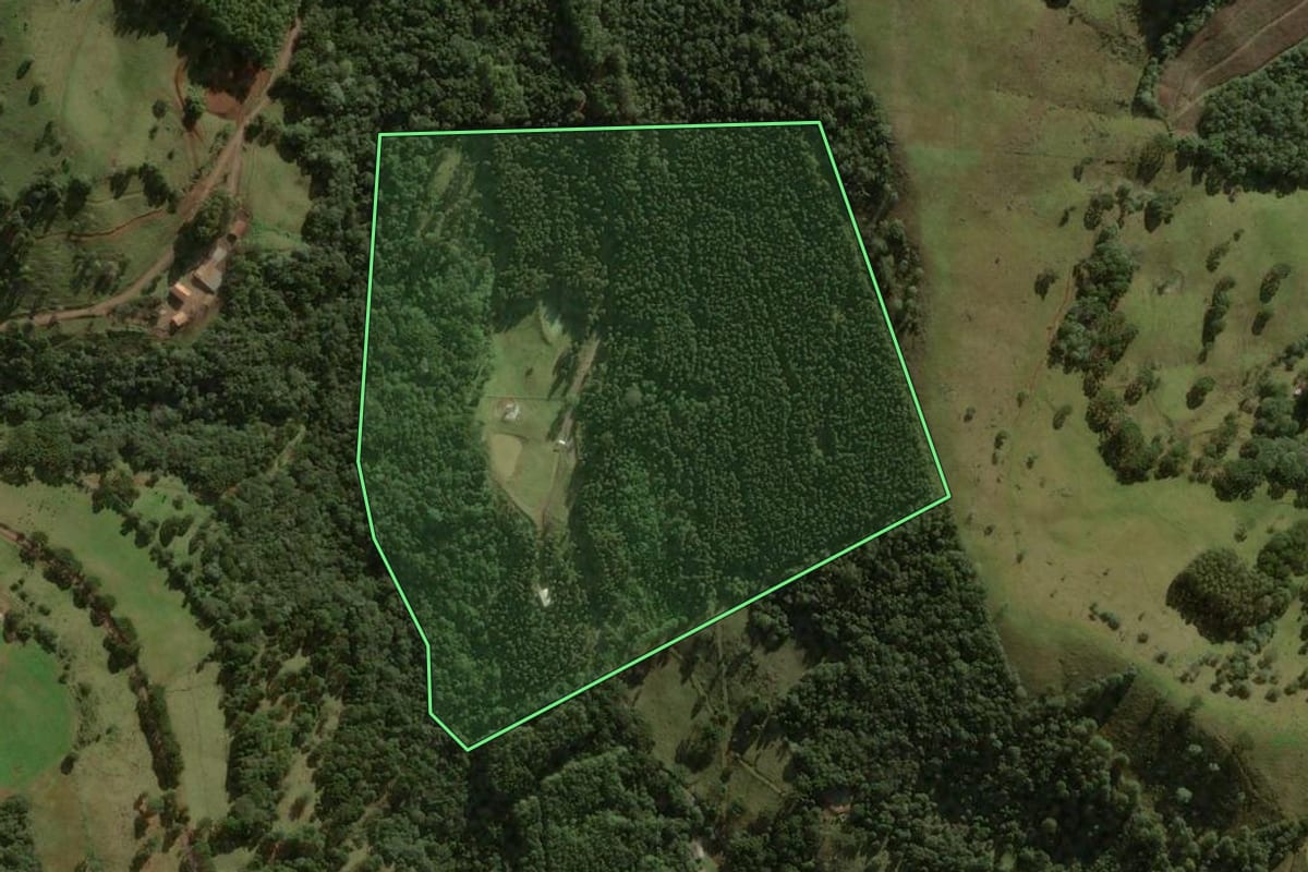 Imagem de satélite do imóvel rural em Salto Veloso (SC), com o contorno declarado no CAR desenhado por cima.