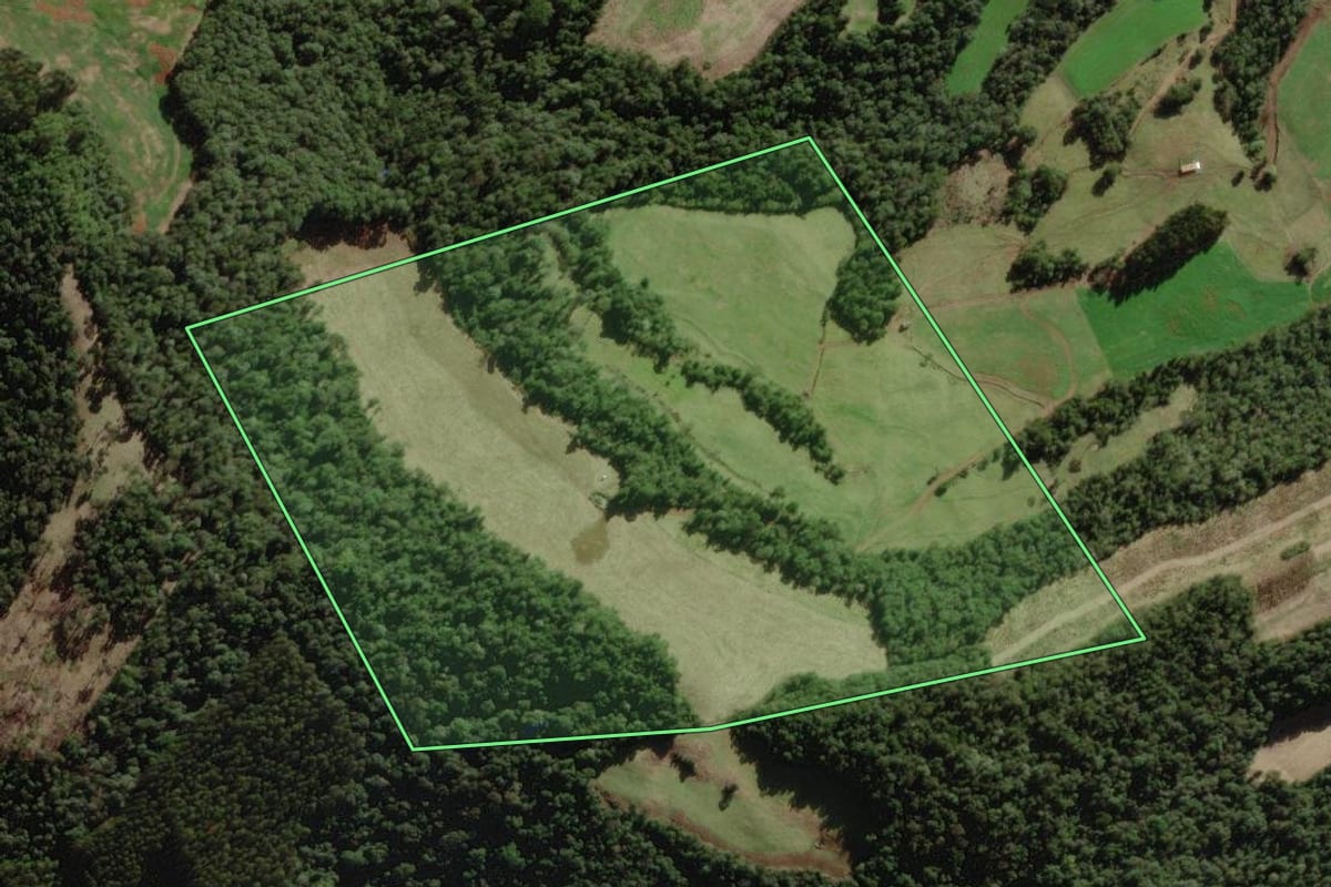 Imagem de satélite do imóvel rural em Salto Veloso (SC), com o contorno declarado no CAR desenhado por cima.