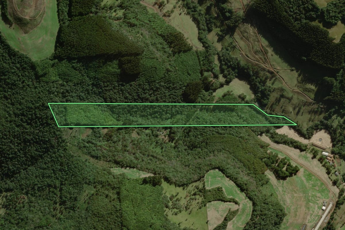 Imagem de satélite do imóvel rural em Salto Veloso (SC), com o contorno declarado no CAR desenhado por cima.