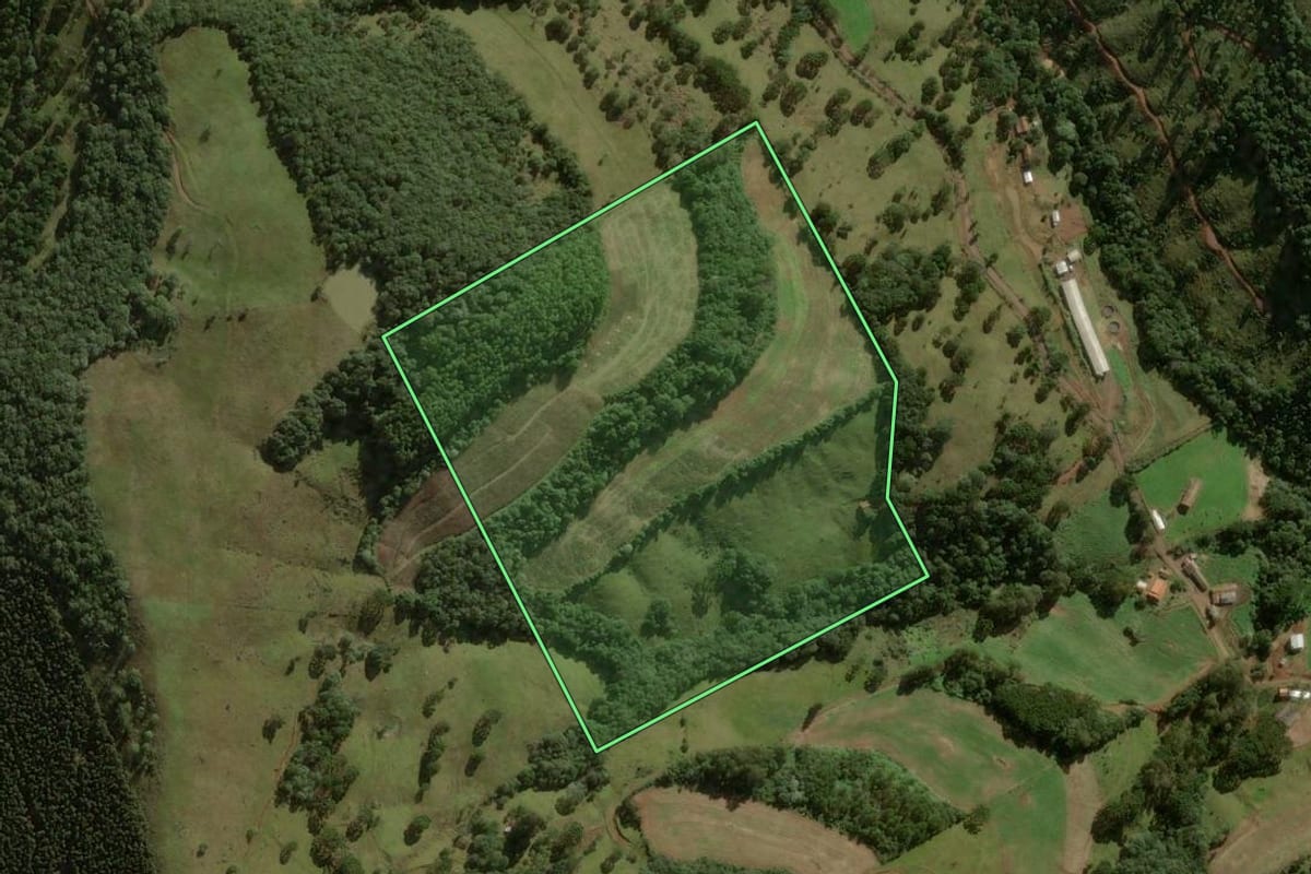 Imagem de satélite do imóvel rural em Salto Veloso (SC), com o contorno declarado no CAR desenhado por cima.