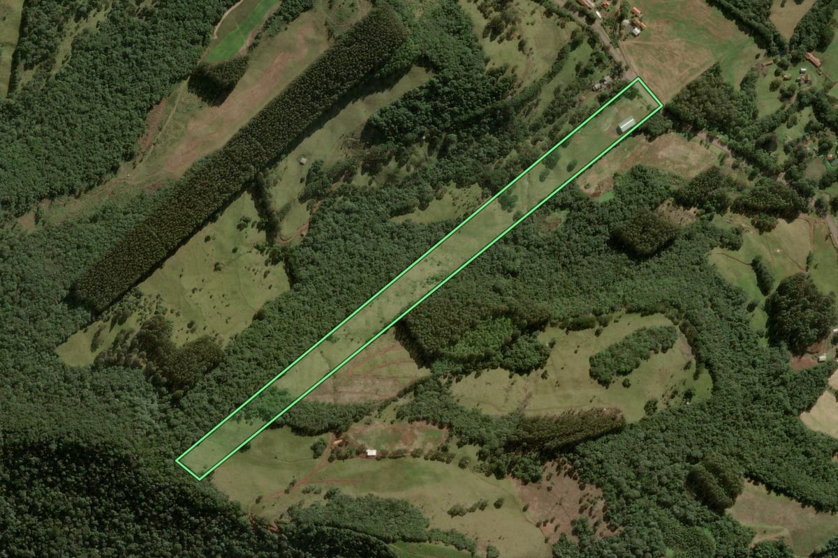 Imagem de satélite do imóvel rural em Salto Veloso (SC), com o contorno declarado no CAR desenhado por cima.
