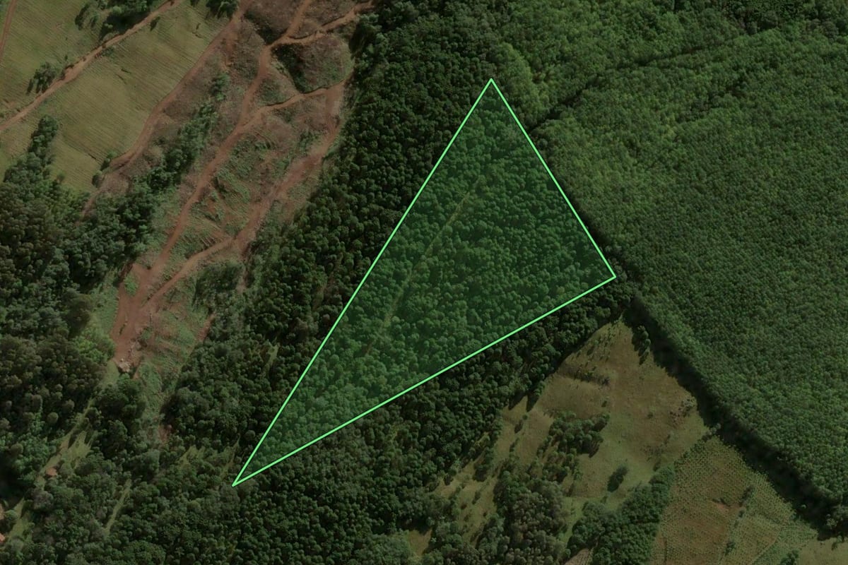 Imagem de satélite do imóvel rural em Salto Veloso (SC), com o contorno declarado no CAR desenhado por cima.