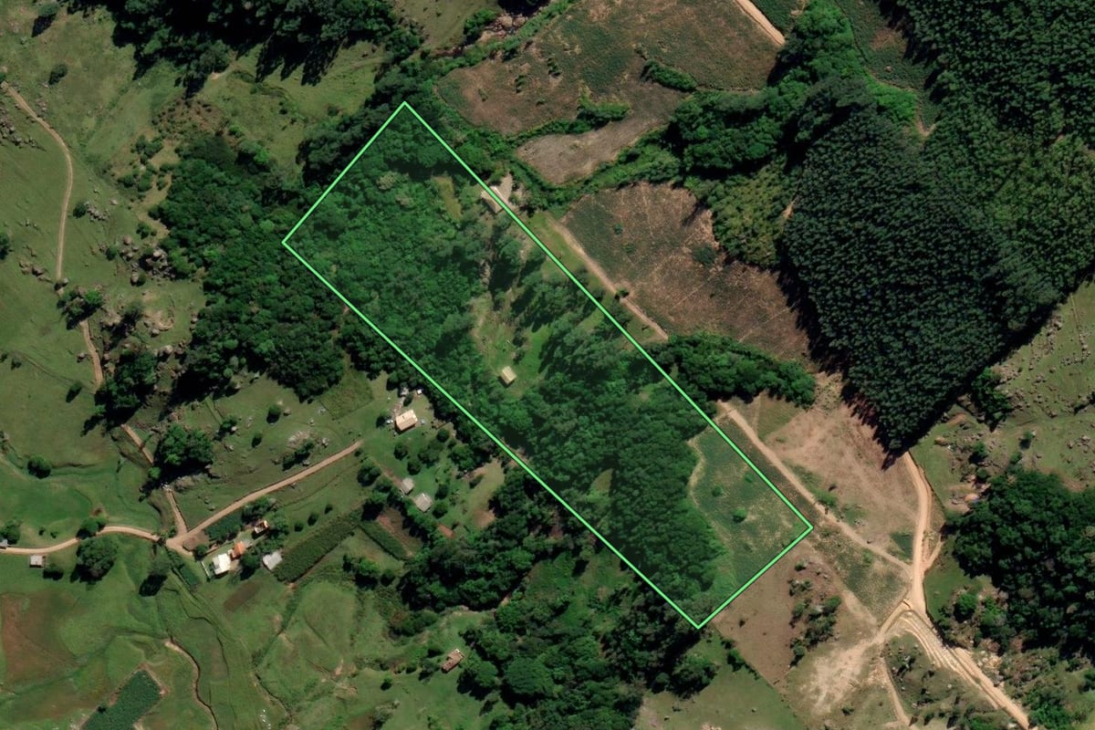 Imagem de satélite do imóvel rural em Sangão (SC), com o contorno declarado no CAR desenhado por cima.
