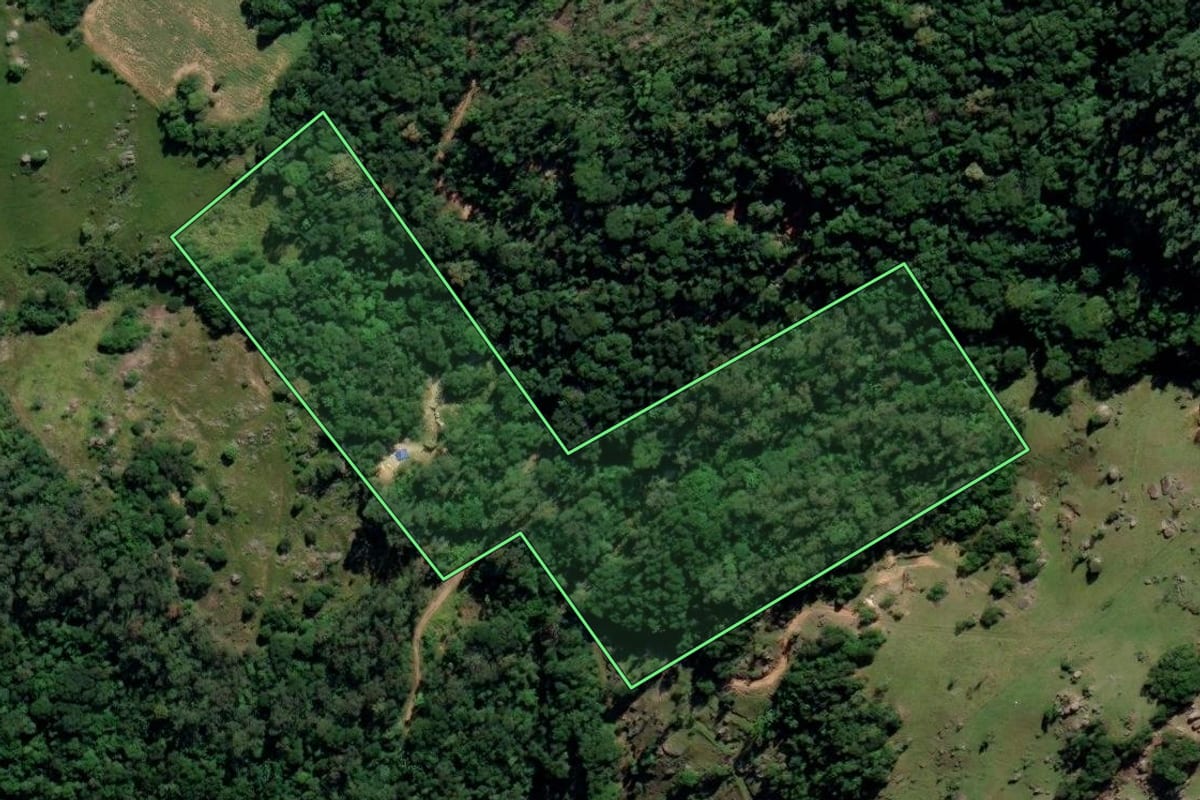 Imagem de satélite do imóvel rural em Sangão (SC), com o contorno declarado no CAR desenhado por cima.