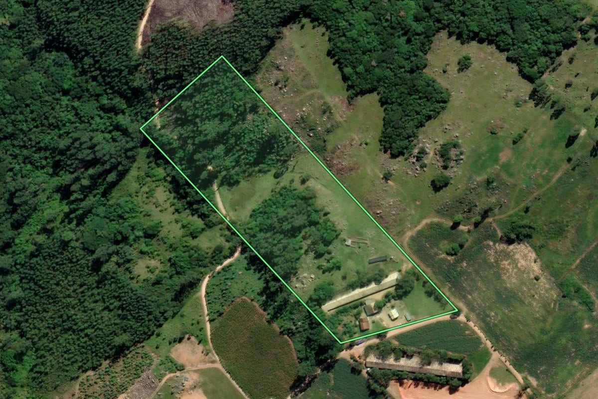 Imagem de satélite do imóvel rural em Sangão (SC), com o contorno declarado no CAR desenhado por cima.
