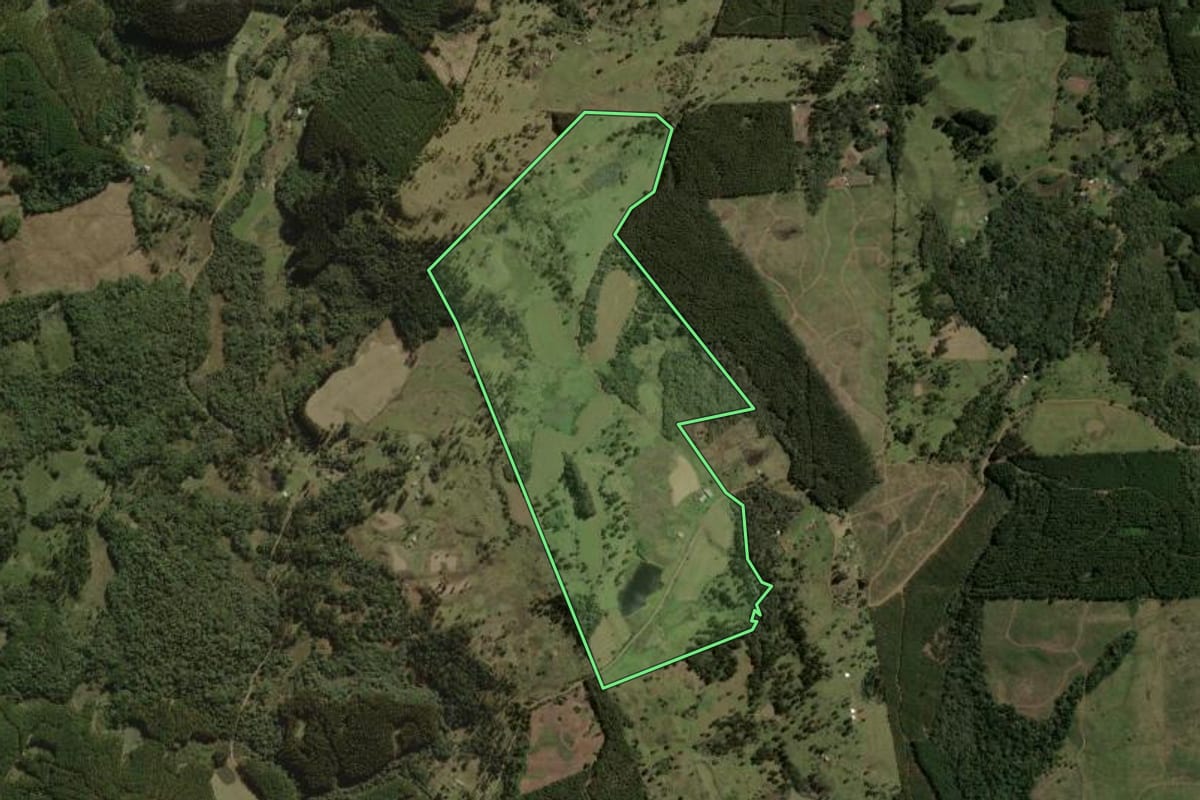Imagem de satélite do imóvel rural em Santa Cecília (SC), com o contorno declarado no CAR desenhado por cima.