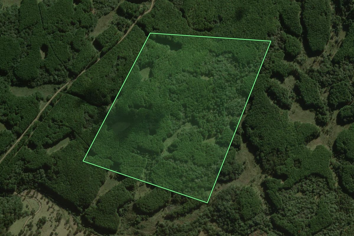 Imagem de satélite do imóvel rural em Santa Cecília (SC), com o contorno declarado no CAR desenhado por cima.