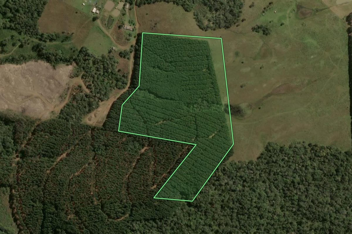 Imagem de satélite do imóvel rural em Santa Cecília (SC), com o contorno declarado no CAR desenhado por cima.