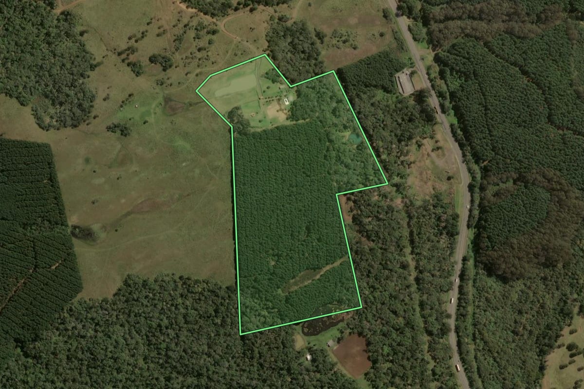Imagem de satélite do imóvel rural em Santa Cecília (SC), com o contorno declarado no CAR desenhado por cima.