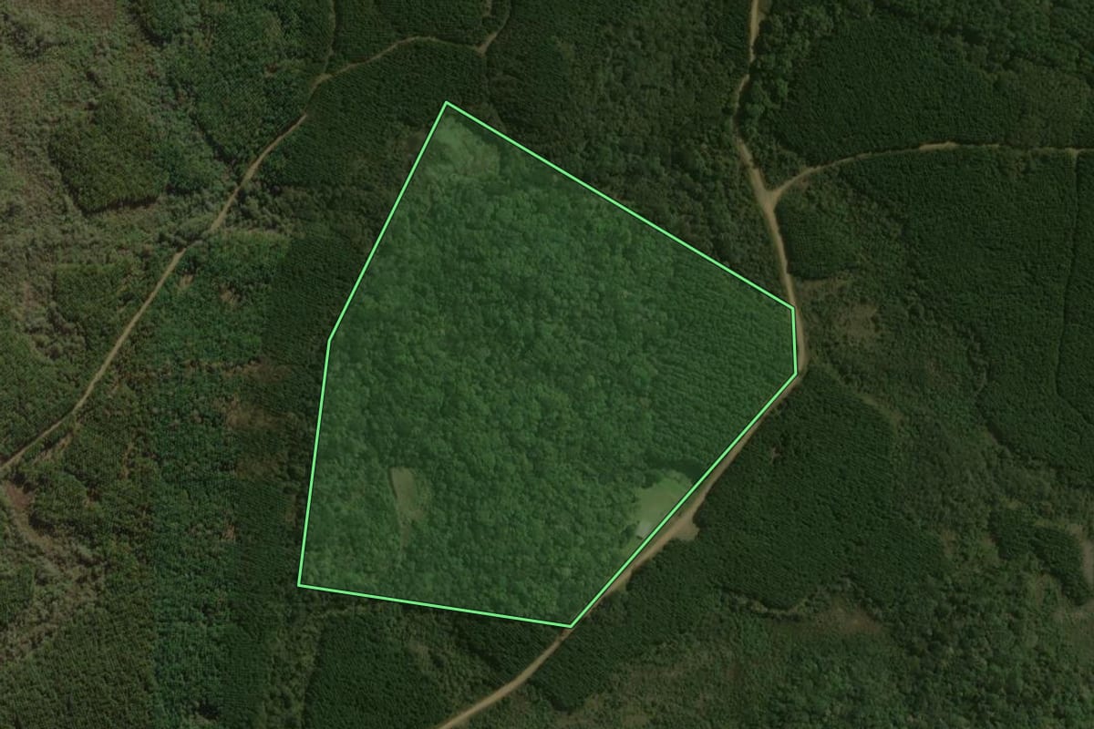 Imagem de satélite do imóvel rural em Santa Cecília (SC), com o contorno declarado no CAR desenhado por cima.