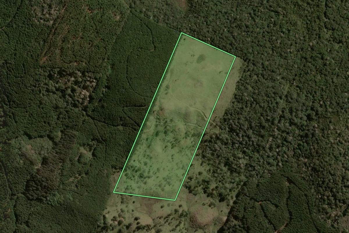 Imagem de satélite do imóvel rural em Santa Cecília (SC), com o contorno declarado no CAR desenhado por cima.