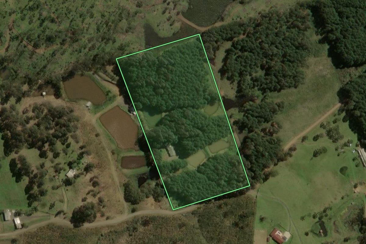Imagem de satélite do imóvel rural em Santa Cecília (SC), com o contorno declarado no CAR desenhado por cima.