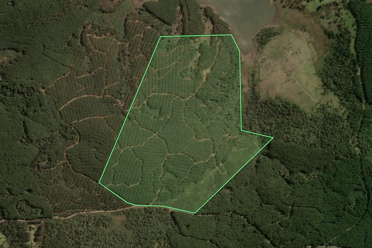Imagem de satélite do imóvel rural em Santa Cecília (SC), com o contorno declarado no CAR desenhado por cima.