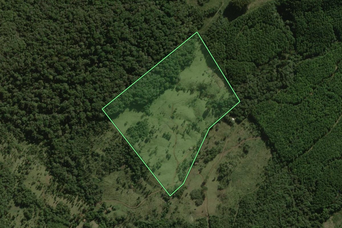 Imagem de satélite do imóvel rural em Santa Cecília (SC), com o contorno declarado no CAR desenhado por cima.