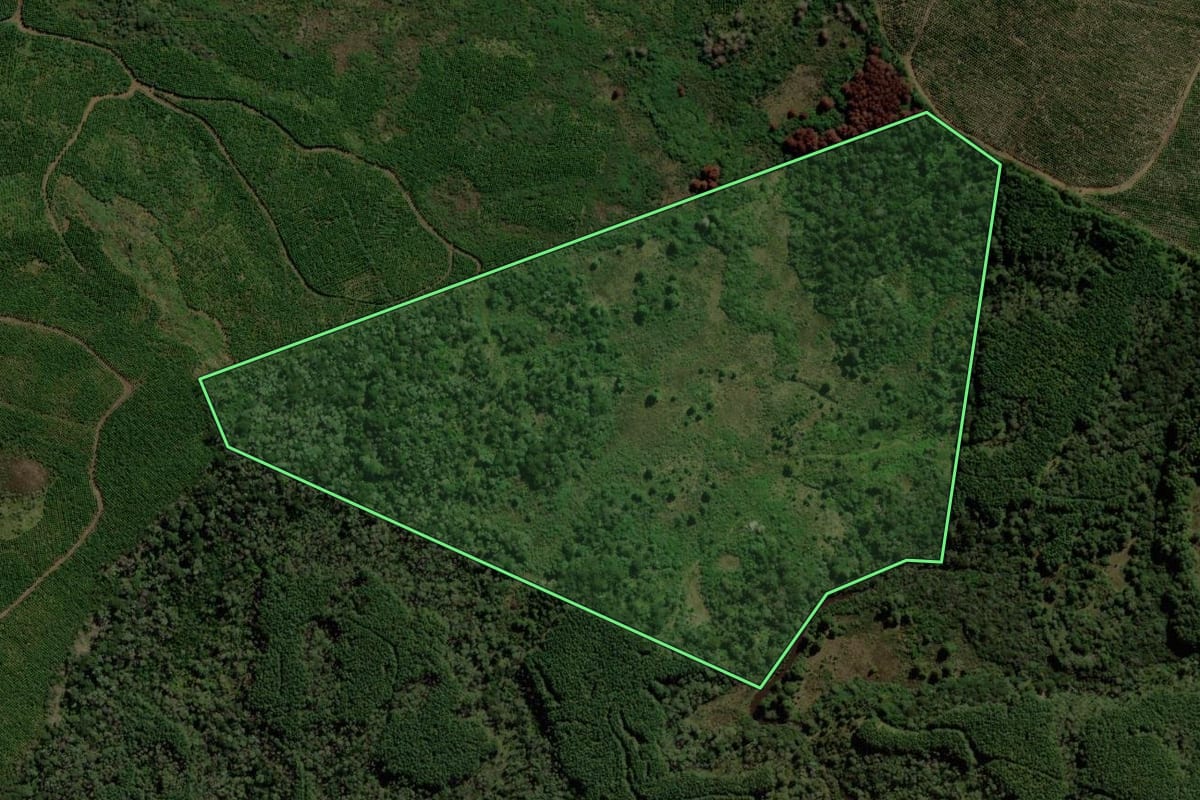 Imagem de satélite do imóvel rural em Santa Cecília (SC), com o contorno declarado no CAR desenhado por cima.