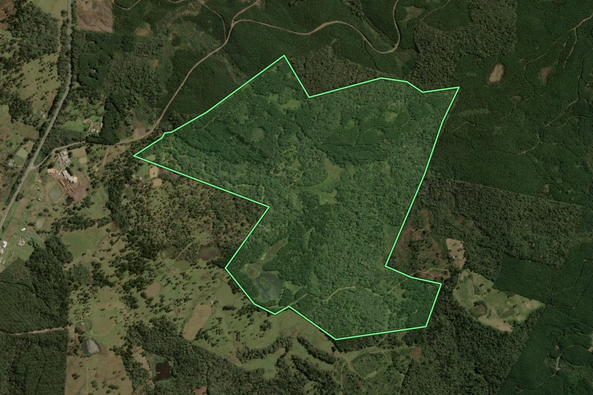 Imagem de satélite do imóvel rural em Santa Cecília (SC), com o contorno declarado no CAR desenhado por cima.