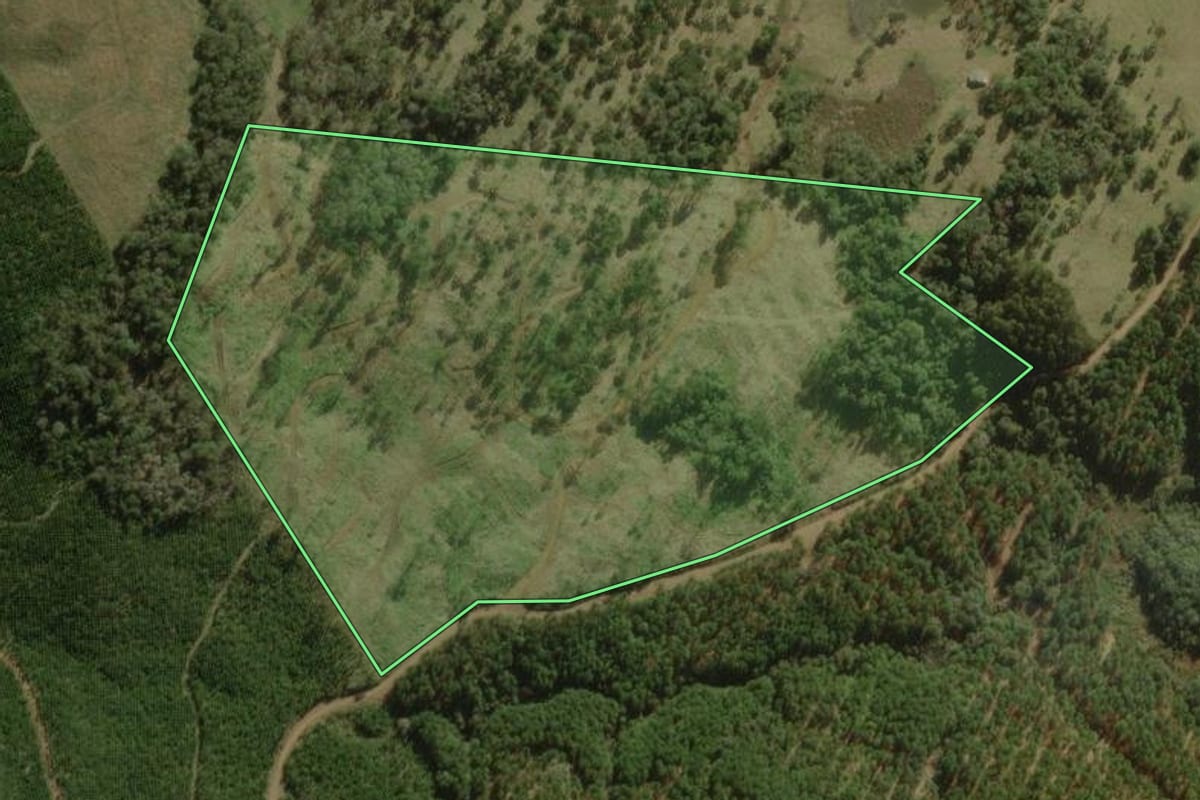 Imagem de satélite do imóvel rural em Santa Cecília (SC), com o contorno declarado no CAR desenhado por cima.