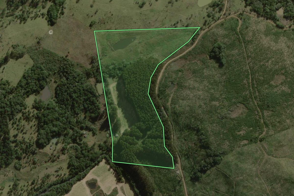 Imagem de satélite do imóvel rural em Santa Cecília (SC), com o contorno declarado no CAR desenhado por cima.