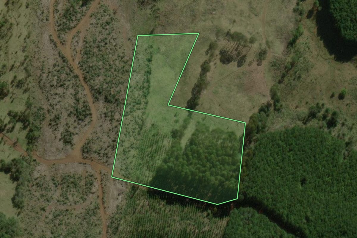 Imagem de satélite do imóvel rural em Santa Cecília (SC), com o contorno declarado no CAR desenhado por cima.