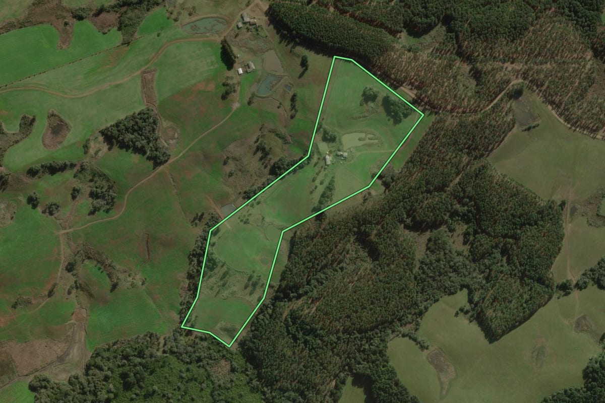 Imagem de satélite do imóvel rural em Santa Cecília (SC), com o contorno declarado no CAR desenhado por cima.
