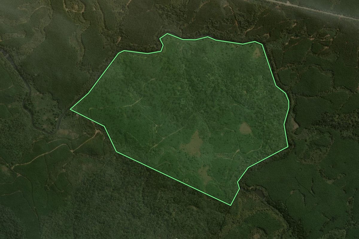 Imagem de satélite do imóvel rural em Santa Cecília (SC), com o contorno declarado no CAR desenhado por cima.