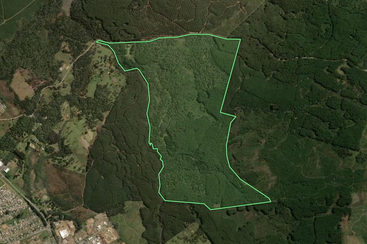 Imagem de satélite do imóvel rural em Santa Cecília (SC), com o contorno declarado no CAR desenhado por cima.