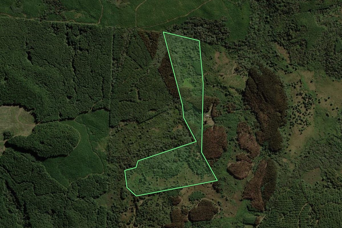 Imagem de satélite do imóvel rural em Santa Cecília (SC), com o contorno declarado no CAR desenhado por cima.