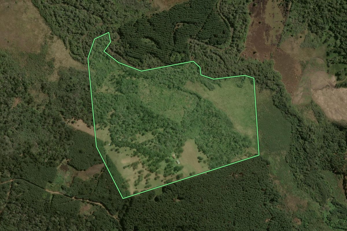 Imagem de satélite do imóvel rural em Santa Cecília (SC), com o contorno declarado no CAR desenhado por cima.